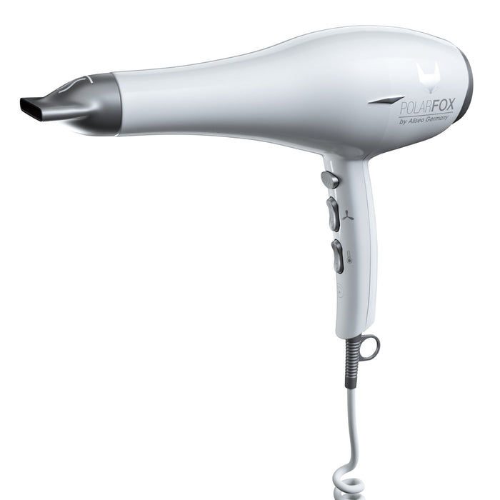 Polarfox Haartrockner mit Ionentechnologie, Weiß-Silber, elegante Linien, glatte Textur, ideal für Hotelbedarf.